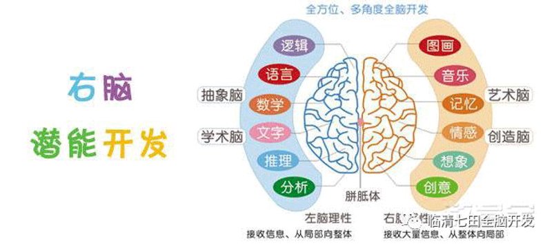 飞起起飞的原理：从基础到实践