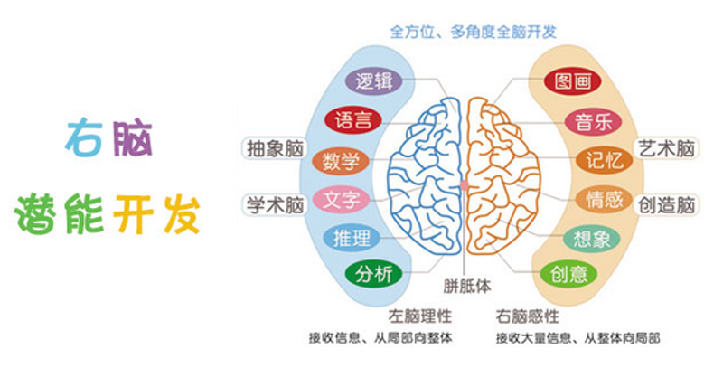 义乌培飞思维怎么样?从学员反馈中寻找答案