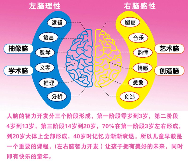 义乌培飞思维怎么样?五大维度对比,为你揭开真相